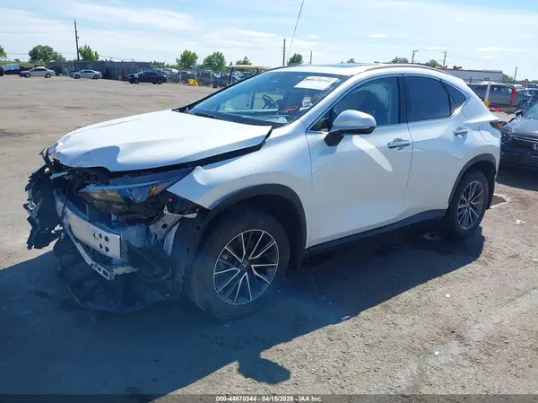 JTJGKCEZ5R5011509 2024 LEXUS NX - Image 2
