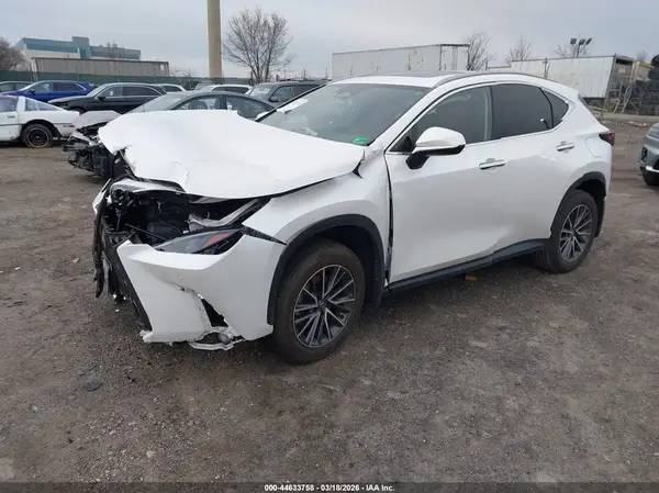 JTJGKCEZ5R5012613 2024 LEXUS NX - Image 2