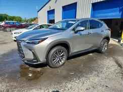 JTJGKCEZ5R5018587 2024 LEXUS NX