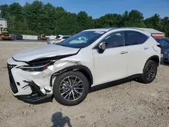 JTJGKCEZ5R5022185 2024 LEXUS NX