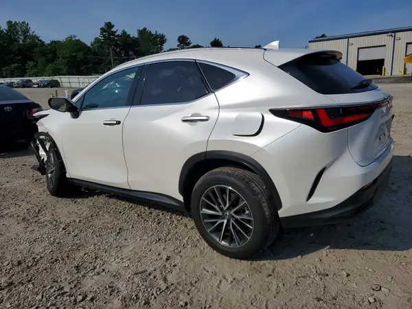 JTJGKCEZ5R5022185 2024 LEXUS NX - Image 2