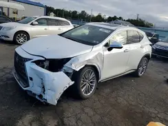 JTJGKCEZ5S2050091 2025 LEXUS NX