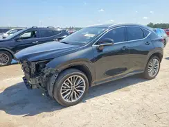 JTJGKCEZ5S5037548 2025 LEXUS NX