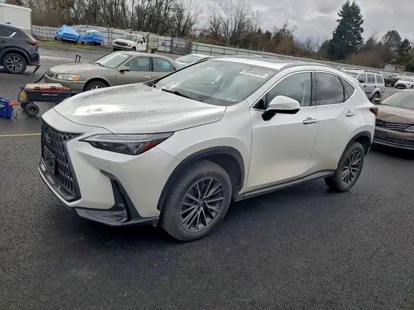 JTJGKCEZ6N5005096 2022 LEXUS NX - Image 1