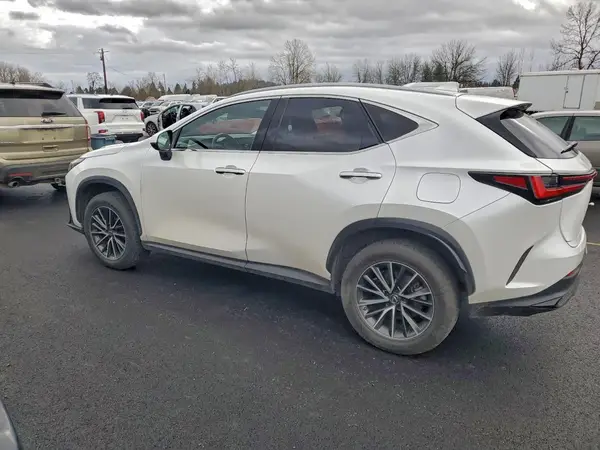 JTJGKCEZ6N5005096 2022 LEXUS NX - Image 2