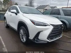 JTJGKCEZ6P2011257 2023 LEXUS NX