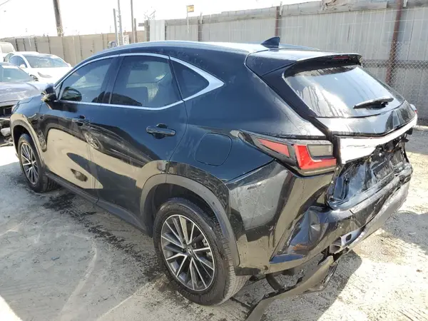 JTJGKCEZ6R2032595 2024 LEXUS NX - Image 2