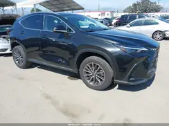 JTJGKCEZ6R2033231 2024 LEXUS NX