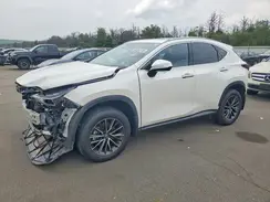 JTJGKCEZ6R2036002 2024 LEXUS NX