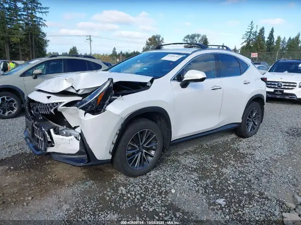 JTJGKCEZ6R5011969 2024 LEXUS NX - Image 2