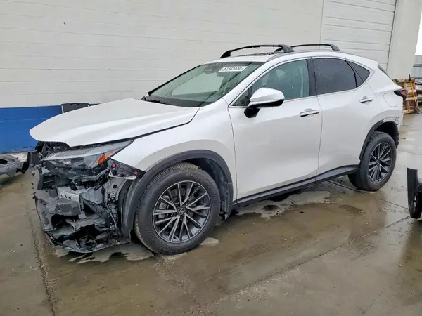 JTJGKCEZ6R5013866 2024 LEXUS NX - Image 1