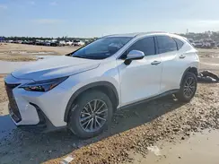 JTJGKCEZ6S5031807 2025 LEXUS NX