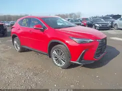 JTJGKCEZ7N2003147 2022 LEXUS NX
