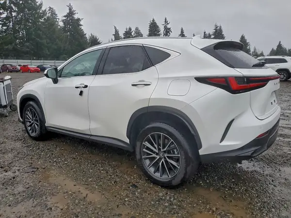 JTJGKCEZ7N5002191 2022 LEXUS NX - Image 2