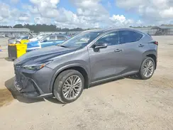 JTJGKCEZ7P5006972 2023 LEXUS NX
