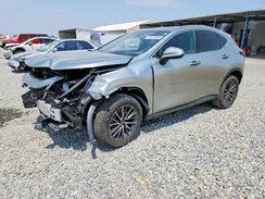 JTJGKCEZ7R2023808 2024 LEXUS NX