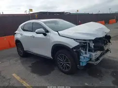 JTJGKCEZ7R2024392 2024 LEXUS NX