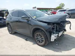JTJGKCEZ7R5018168 2024 LEXUS NX