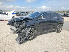 JTJGKCEZ7R5019868 2024 LEXUS NX