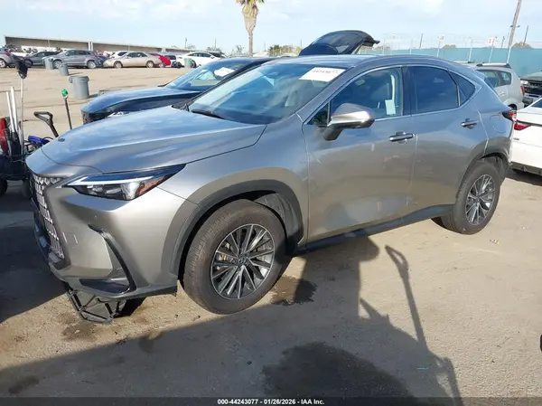 JTJGKCEZ7R5022351 2024 LEXUS NX - Image 2
