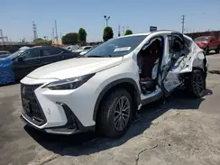 JTJGKCEZ7S2042980 2025 LEXUS NX