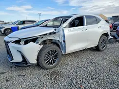 JTJGKCEZ7S2064381 2025 LEXUS NX