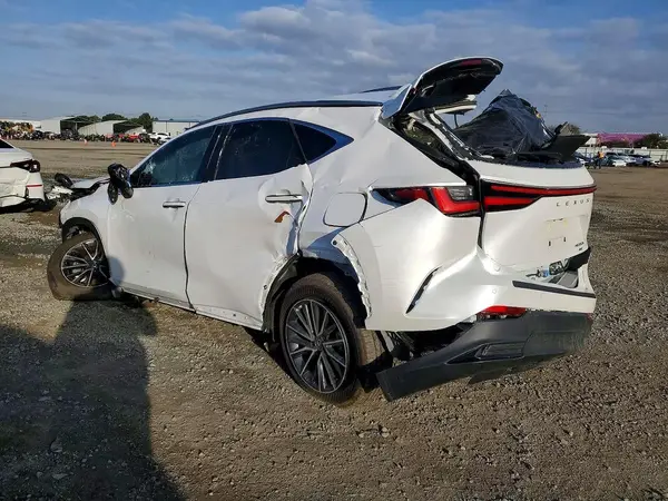JTJGKCEZ8R5012573 2024 LEXUS NX - Image 2