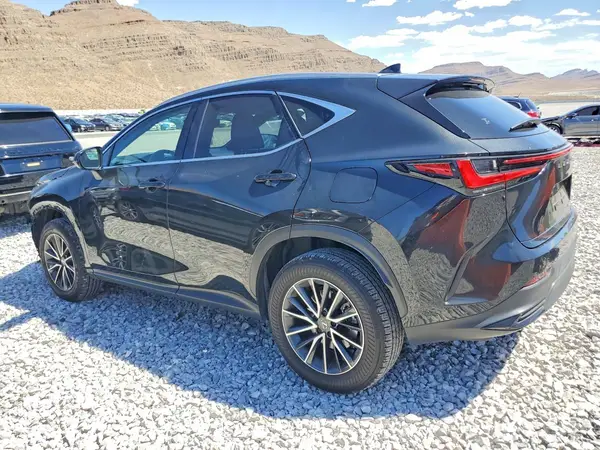 JTJGKCEZ8R5013397 2024 LEXUS NX - Image 2