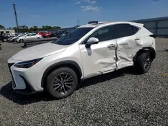 JTJGKCEZ8R5014422 2024 LEXUS NX