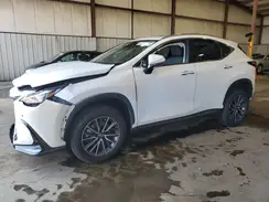 JTJGKCEZ8R5016378 2024 LEXUS NX