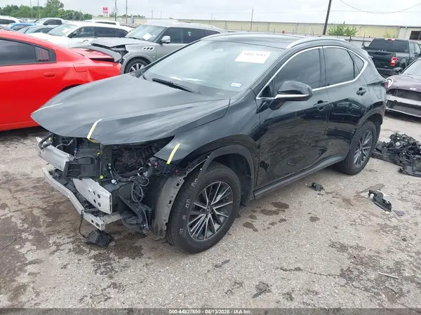 JTJGKCEZ8R5022469 2024 LEXUS NX - Image 2