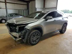 JTJGKCEZ8S5025264 2025 LEXUS NX