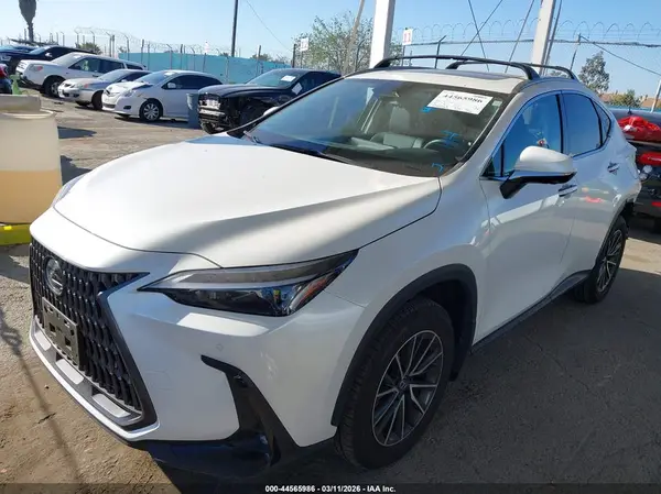 JTJGKCEZ9R2037595 2024 LEXUS NX - Image 2