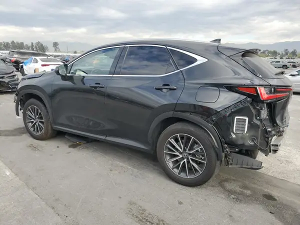 JTJGKCEZ9R5019516 2024 LEXUS NX - Image 2