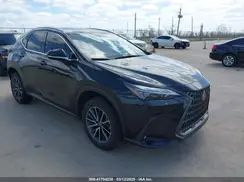 JTJGKCEZ9R5020262 2024 LEXUS NX