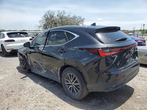 JTJGKCEZ9R5021301 2024 LEXUS NX - Image 2