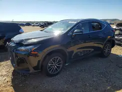 JTJGKCEZ9R5021492 2024 LEXUS NX