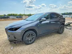 JTJGKCEZ9R5022349 2024 LEXUS NX