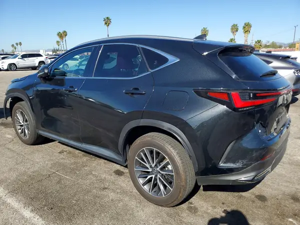JTJGKCEZ9R5022948 2024 LEXUS NX - Image 2