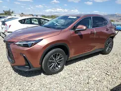 JTJGKCEZ9S2044911 2025 LEXUS NX