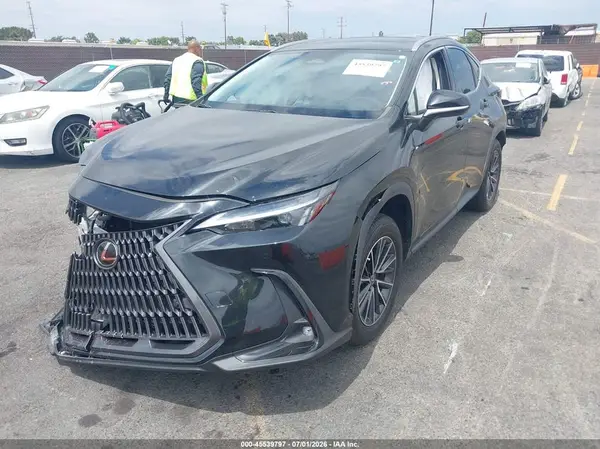JTJGKCEZXR2020496 2024 LEXUS NX - Image 2