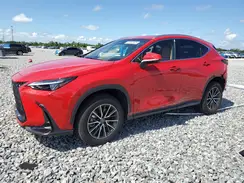 JTJGKCEZXR2032325 2024 LEXUS NX