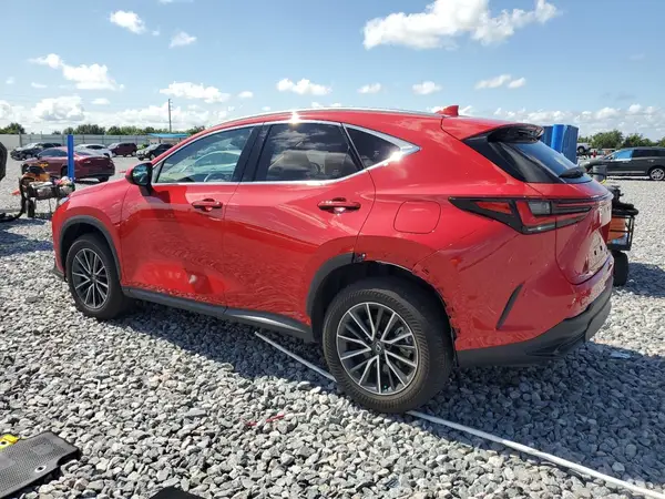 JTJGKCEZXR2032325 2024 LEXUS NX - Image 2