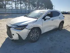 JTJGKCEZXR2035029 2024 LEXUS NX