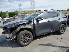 JTJGKCEZXR5012655 2024 LEXUS NX