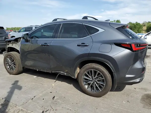 JTJGKCEZXR5012655 2024 LEXUS NX - Image 2