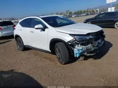 JTJGKCEZXR5013787 2024 LEXUS NX