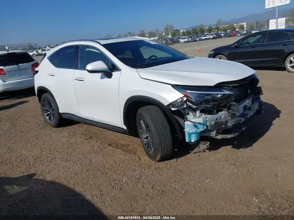 JTJGKCEZXR5013787 2024 LEXUS NX - Image 1