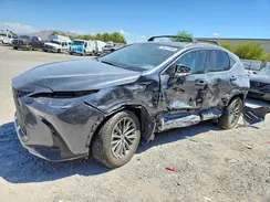 JTJGKCEZXR5019427 2024 LEXUS NX