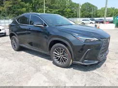 JTJGKCEZXR5022232 2024 LEXUS NX